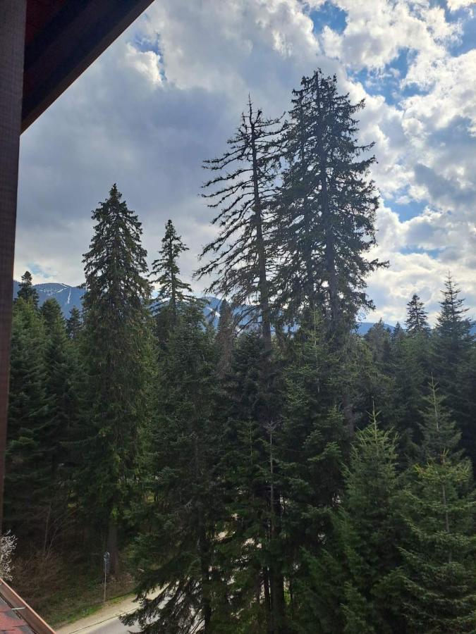 Premium Apartment In Borovets Gardens Complex 외부 사진